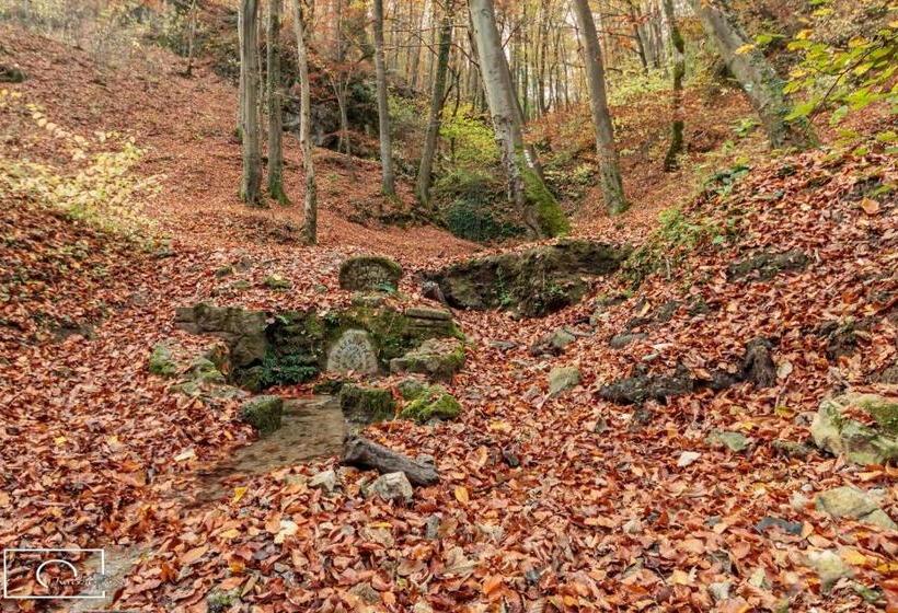 פנסיון Máré Vára Vendégház