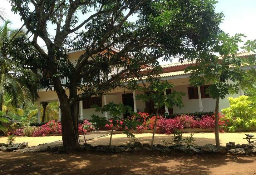 ペンション Neem Tree Villa