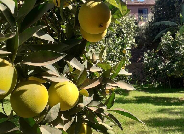 پانسیون Ourika Timalizène Le Jardin Des Délices