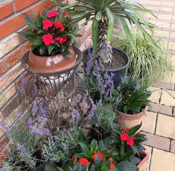 ペンション Penzión Petrov Grunt