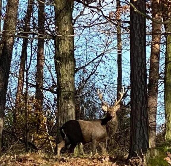 ペンション Penzion A Restaurace Bělecký Mlýn