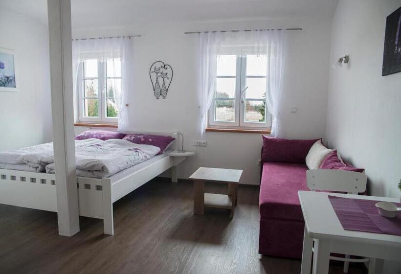 פנסיון Penzion U červené Podkovy