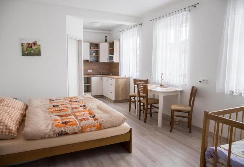 펜션 Penzion U červené Podkovy