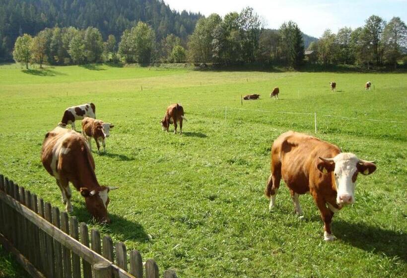 بنسيون Room In Apartment   Ferienhaus Kahr Appartment Rosbrand