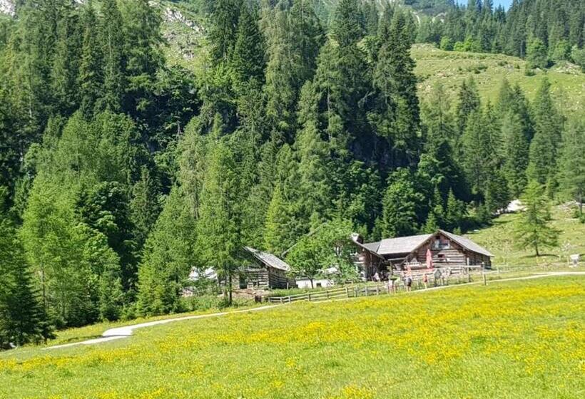 بنسيون Room In Apartment   Ferienhaus Kahr Appartment Rosbrand