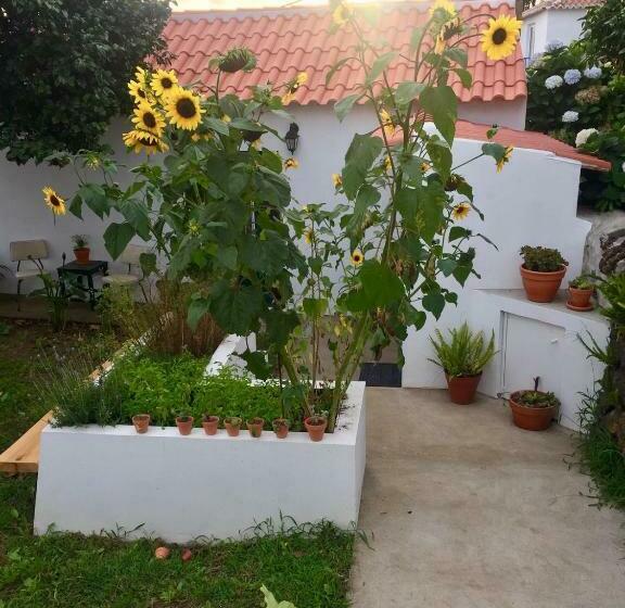 פנסיון The Azores Homestead   Terceira