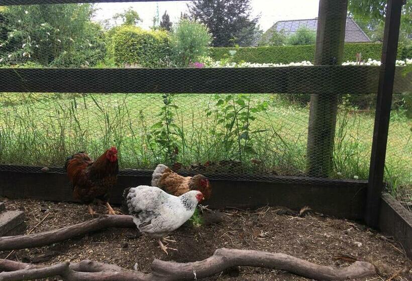 Пансион Vakantiehuis In Het Voorhuis