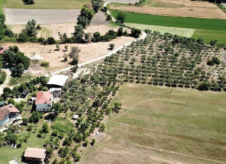 פנסיון Yesil Kelebek Ev