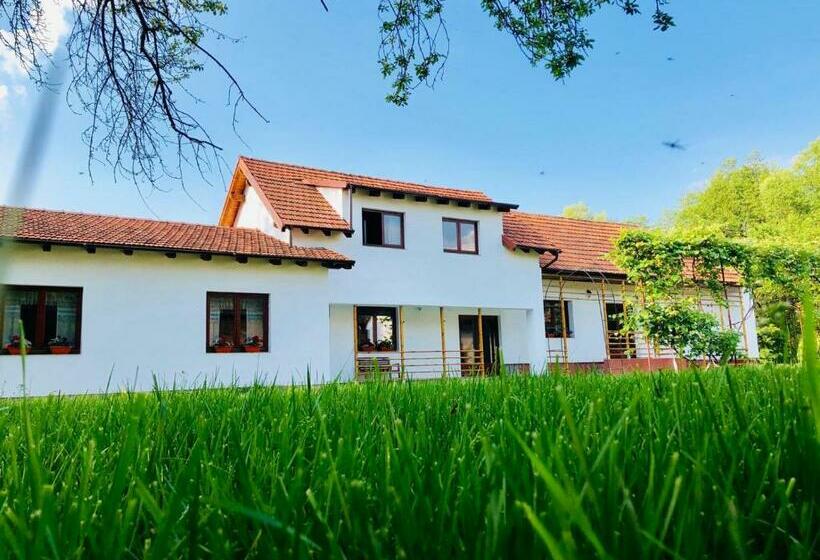 Pensiunea Aer De Munte