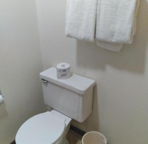 ホテル Oyo Sandman Inn