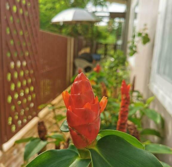 הוסטל De​ Lanta Place