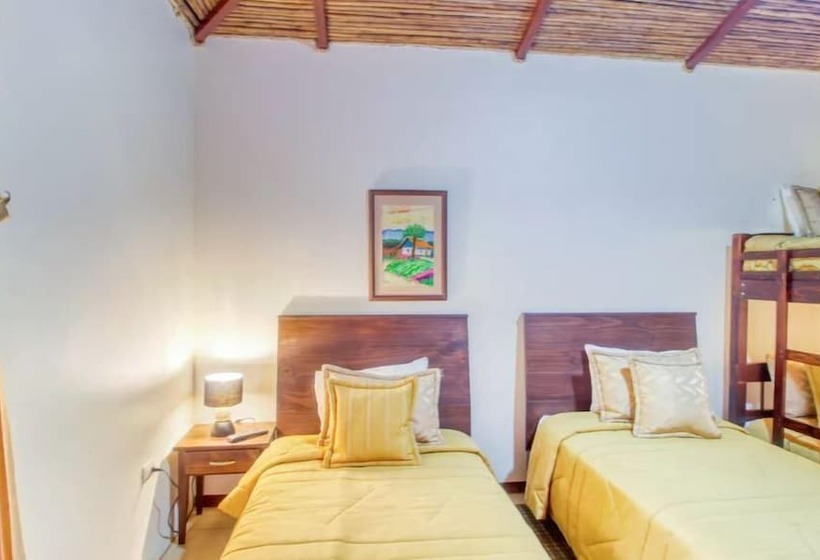 فندق صغير Kinkajou Ecolodge