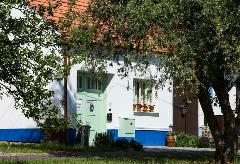 הוסטל Penzion Berdina