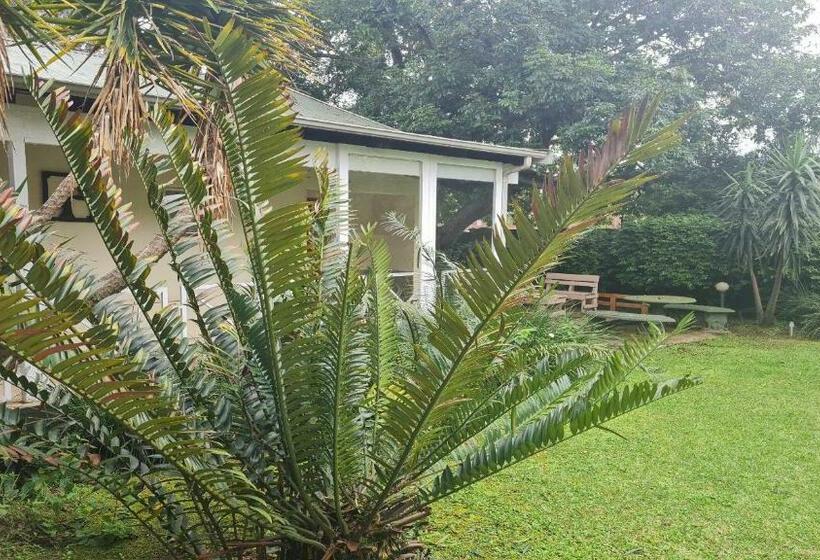 Alexandra Bed & Breakfast