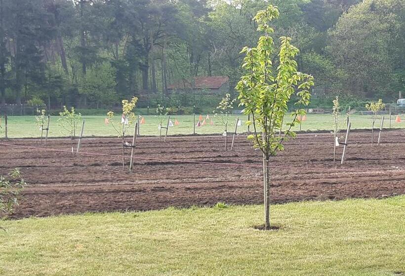 B&b Bourgondisch Lomm