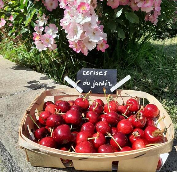 住宿加早餐  Au Chat Perché Chambre Double