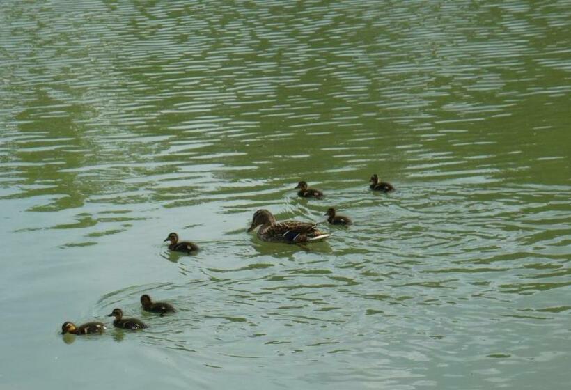 مبيت وإفطار Calme Au Bord De L Eau