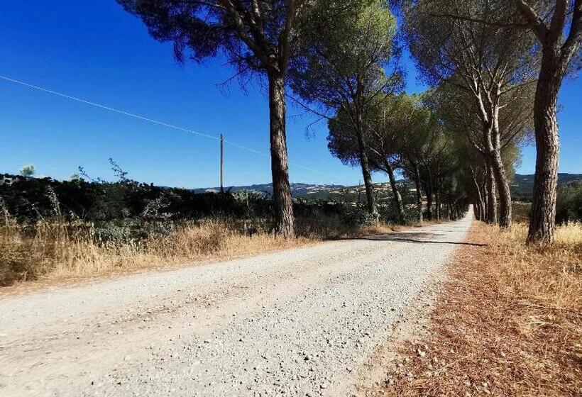 مبيت وإفطار Fattoria Della Sabatina