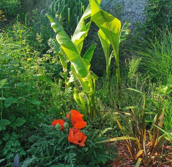 ベッドアンドブレックファースト La Coticia