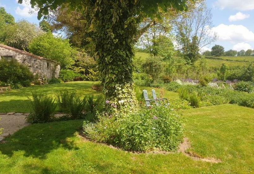 ベッドアンドブレックファースト La Maison Prés Du Ruisseau Chambre Jaune