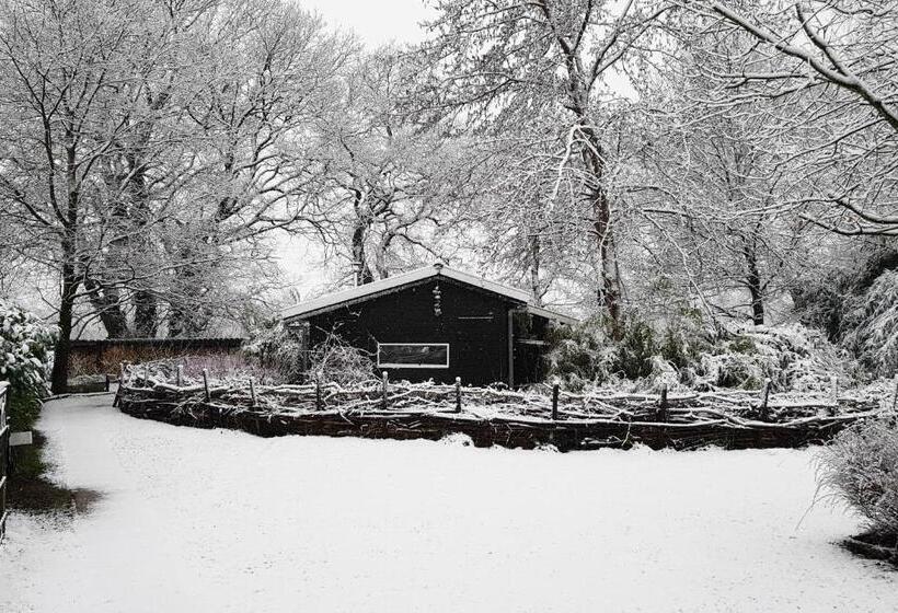 住宿加早餐  Natuurhuisje  T Poepekrus