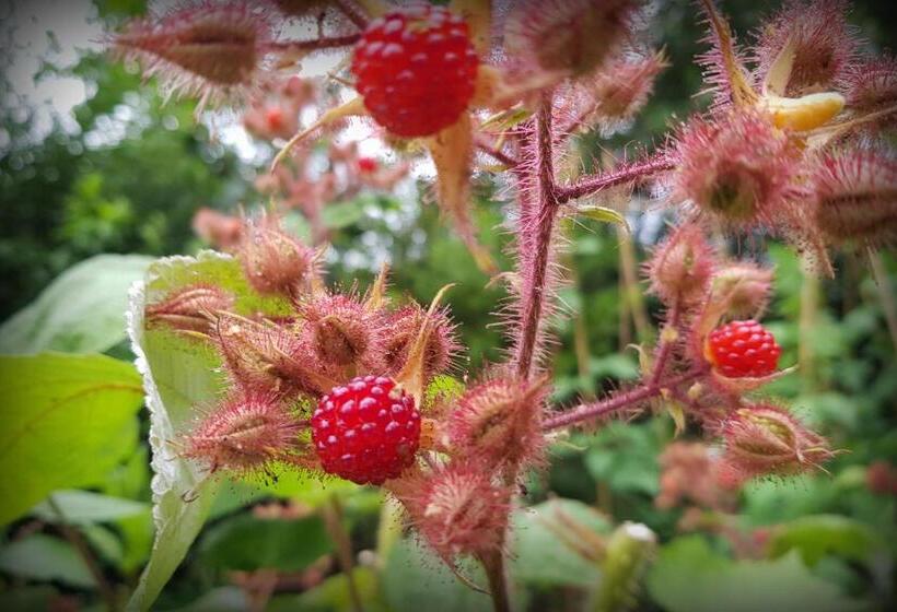 住宿加早餐  Natuurhuisje  T Poepekrus