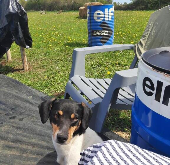 Bed and Breakfast Notre Village Papillon Bed&breakfast