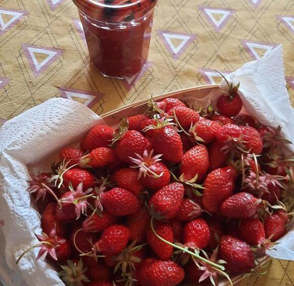 Bed and Breakfast Notre Village Papillon Bed&breakfast