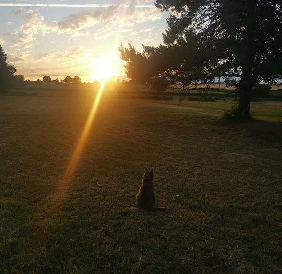 Bed and Breakfast Notre Village Papillon Bed&breakfast