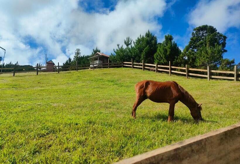 مبيت وإفطار Reel Place