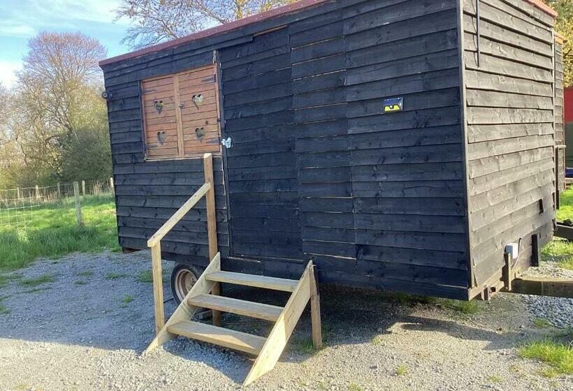 ベッドアンドブレックファースト Vigo Retreat Cabin 2