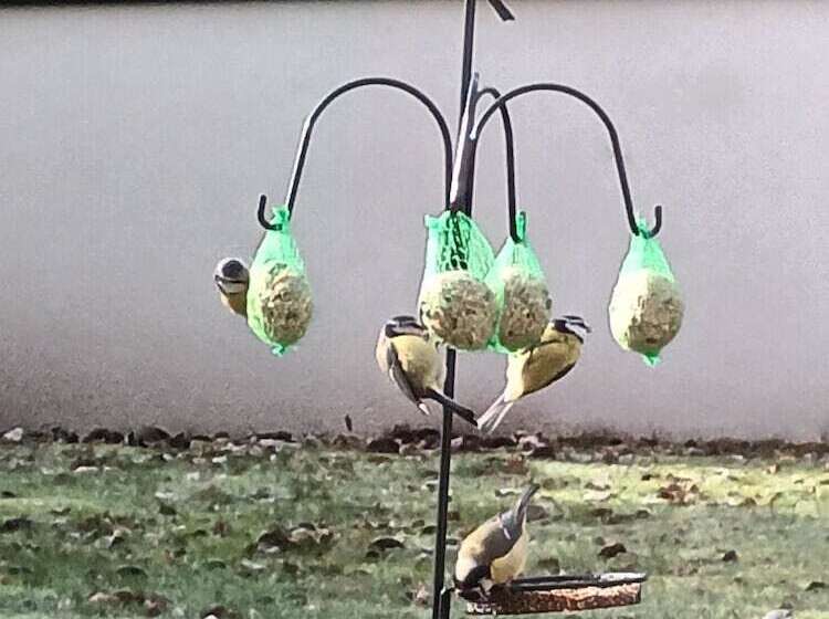 مبيت وإفطار Villa Le Nid Breton