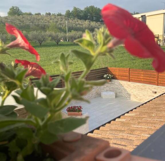 Bed & Breakfast Memory