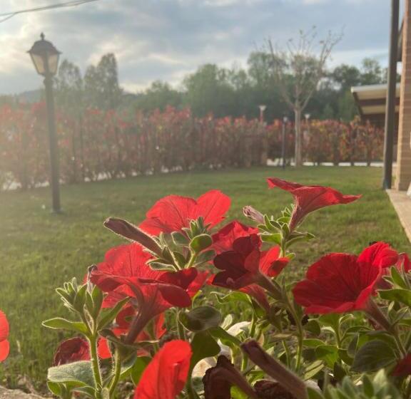 Bed & Breakfast Memory