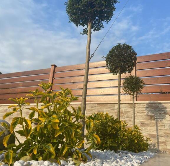 Bed & Breakfast Memory