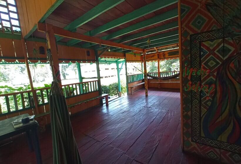 Hostal Búho Amazonas Tours   Hostel