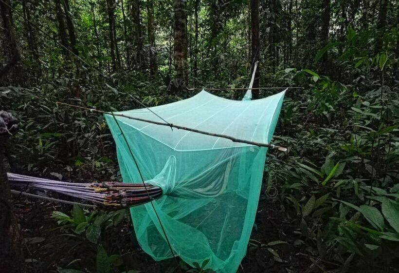 Hostal Búho Amazonas Tours   Hostel