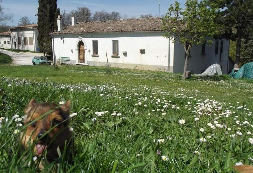فندق Agriturismo Masseria Testa Ciruglio