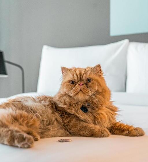 فندق Aloft Guadalajara Sur