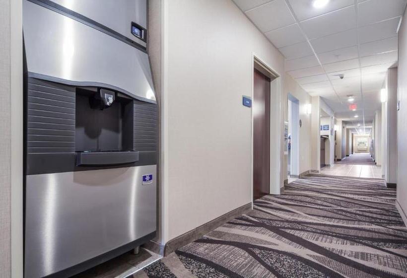 فندق Cobblestone Inn & Suites  Fremont