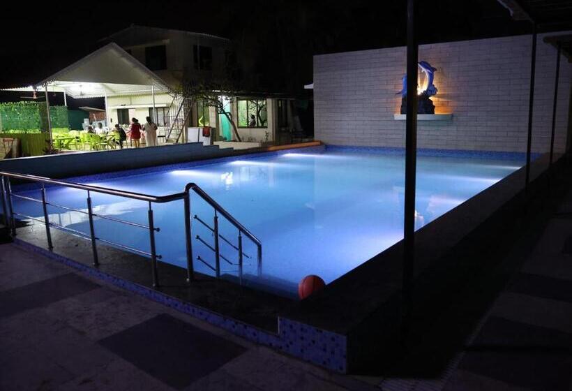 فندق Dolphin Rooms