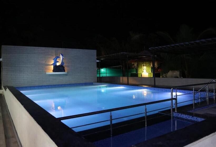 فندق Dolphin Rooms