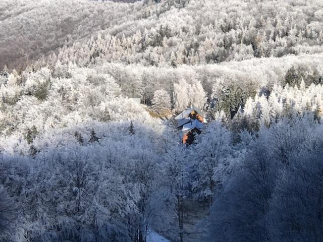 Отель Inovecká Chata