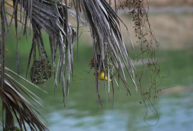 ホテル Lemara Eco Camp