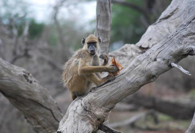 ホテル Lemara Eco Camp