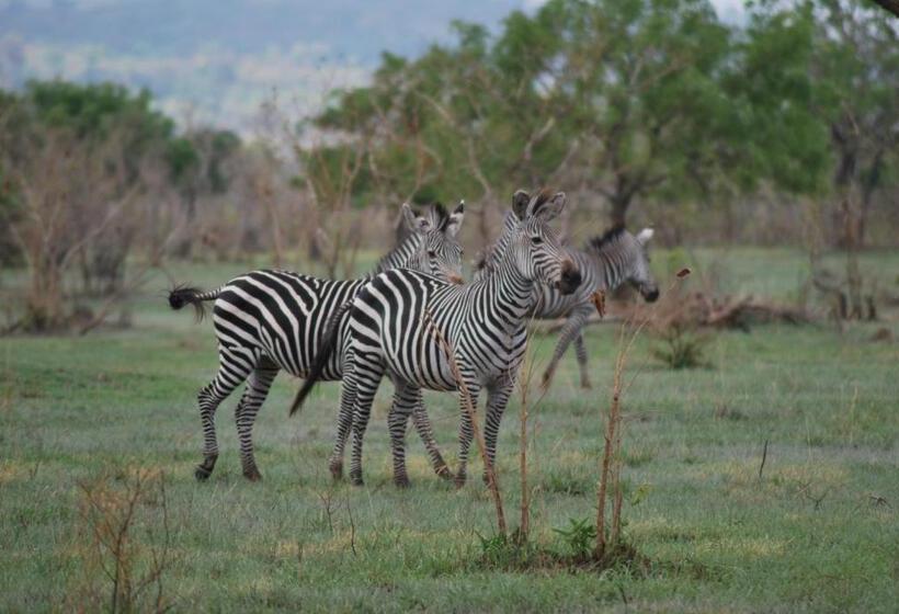 ホテル Lemara Eco Camp