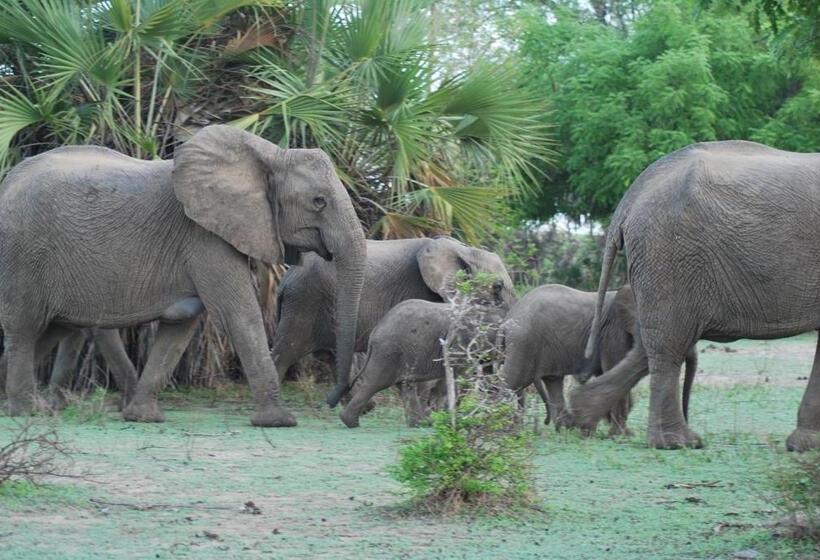 ホテル Lemara Eco Camp