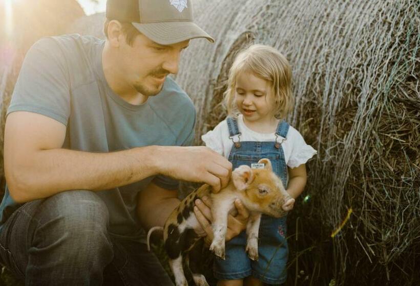 בית מלון כפרי Molitor Milk House  Feathered Acres Learning Farm & Inn