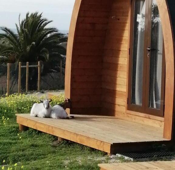 Отель Monte Do Carmo