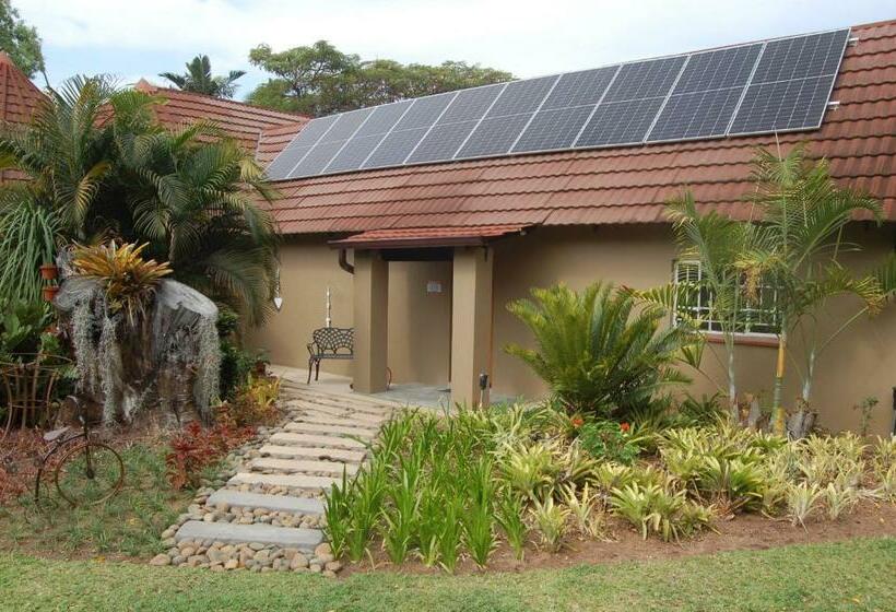 Nita S Air Bed & Breakfast & Self Catering